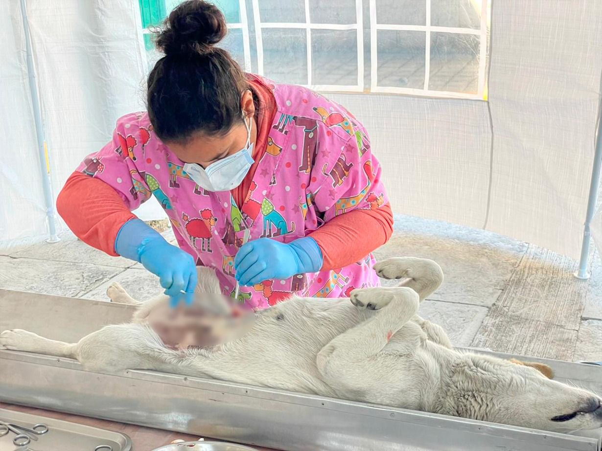 Caravana de Salud y Servicios llega a Chapultepec para brindar atención digna y cercana a las familias